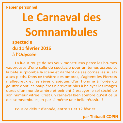 Quand les Gentils luttent contre nos insomnies Le Carnaval des Somnambules par Thibault Copin